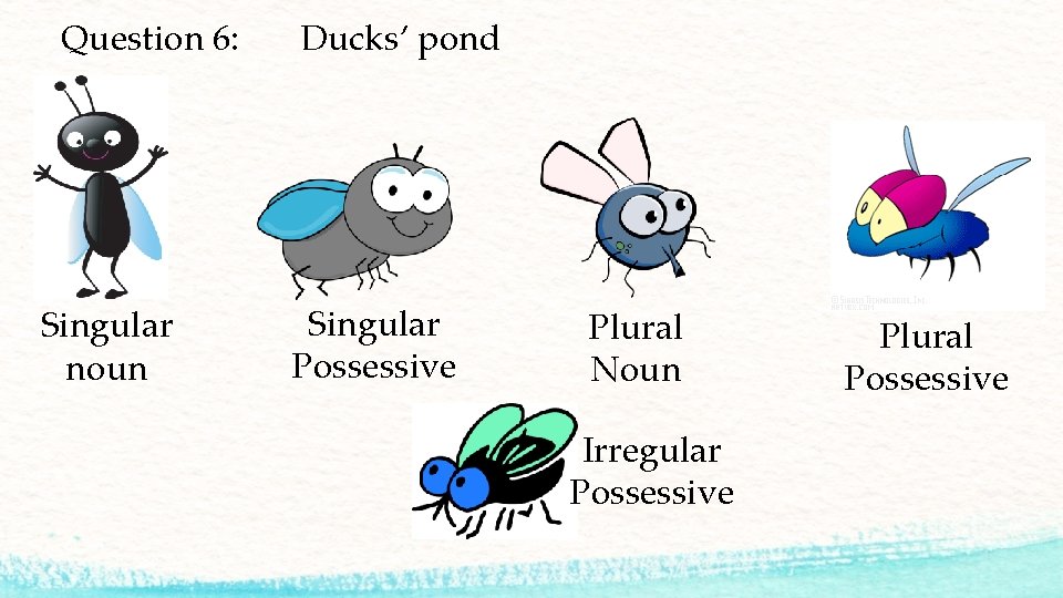 Question 6: Singular noun Ducks’ pond Singular Possessive Plural Noun Irregular Possessive Plural Possessive