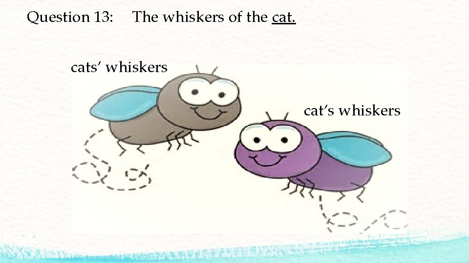 Question 13: The whiskers of the cats’ whiskers cat’s whiskers 