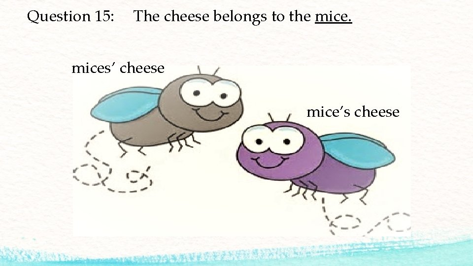 Question 15: The cheese belongs to the mices’ cheese mice’s cheese 