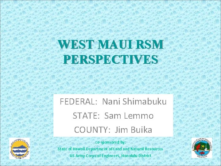 WEST MAUI RSM PERSPECTIVES FEDERAL: Nani Shimabuku STATE: Sam Lemmo COUNTY: Jim Buika co-sponsored