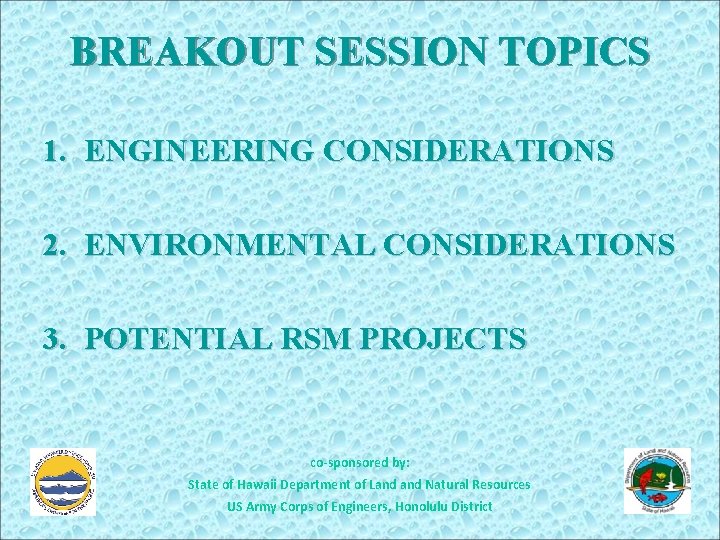 BREAKOUT SESSION TOPICS 1. ENGINEERING CONSIDERATIONS 2. ENVIRONMENTAL CONSIDERATIONS 3. POTENTIAL RSM PROJECTS co-sponsored