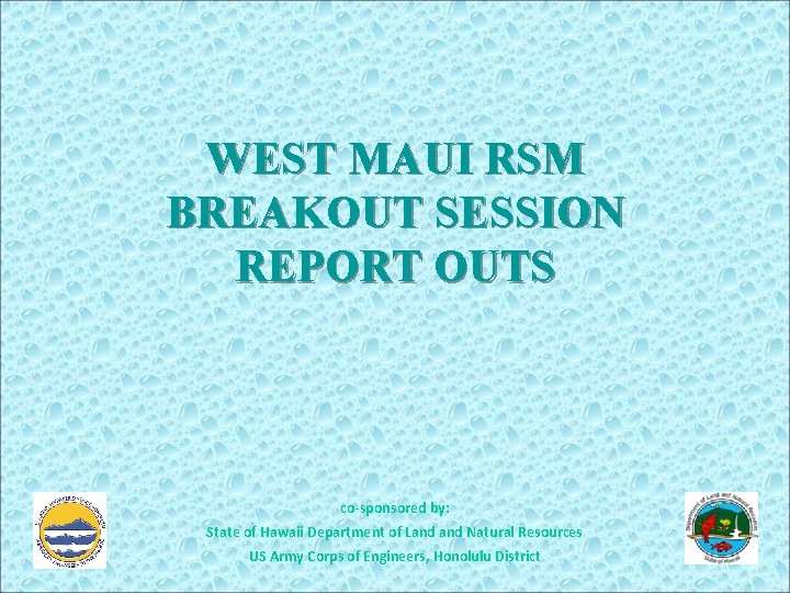 WEST MAUI RSM BREAKOUT SESSION REPORT OUTS co-sponsored by: State of Hawaii Department of