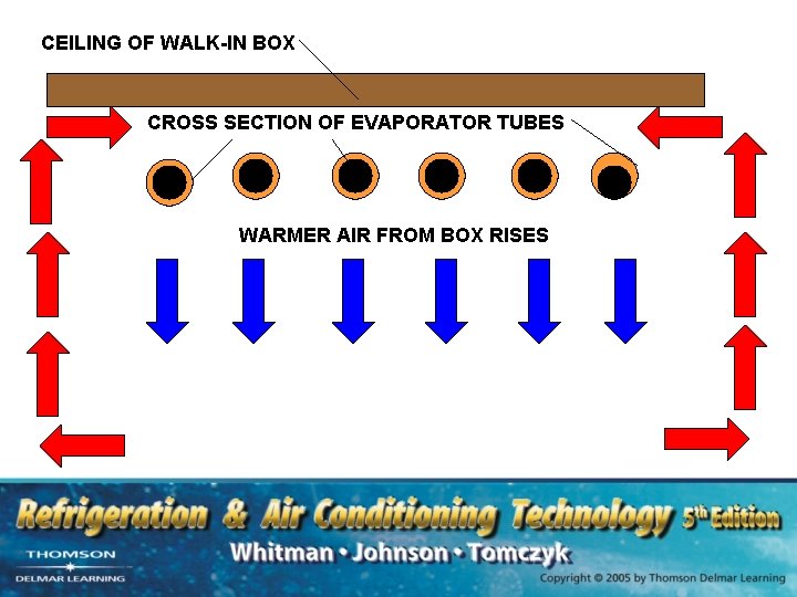 CEILING OF WALK-IN BOX CROSS SECTION OF EVAPORATOR TUBES WARMER AIR FROM BOX RISES
