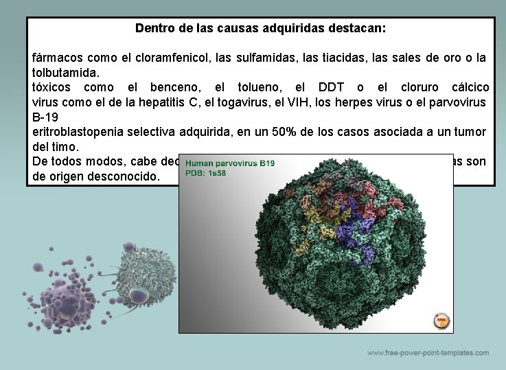 Dentro de las causas adquiridas destacan: fármacos como el cloramfenicol, las sulfamidas, las tiacidas,