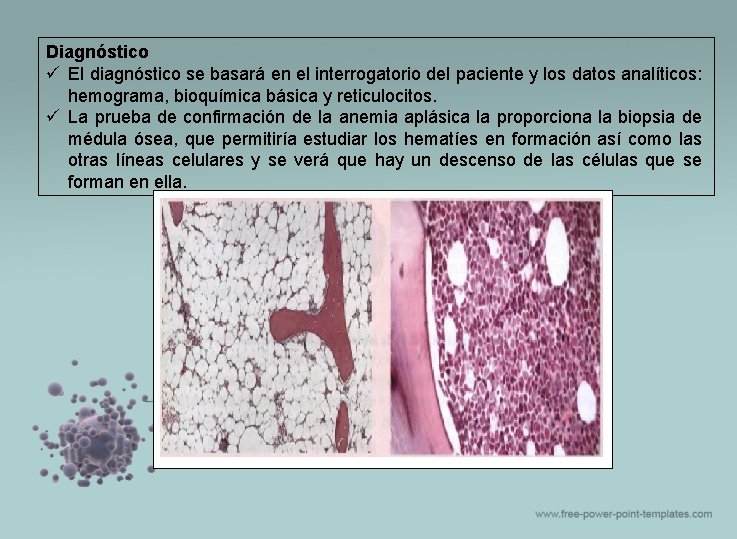 Diagnóstico ü El diagnóstico se basará en el interrogatorio del paciente y los datos