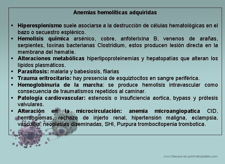 Anemias hemolíticas adquiridas § Hiperesplenismo suele asociarse a la destrucción de células hematológicas en