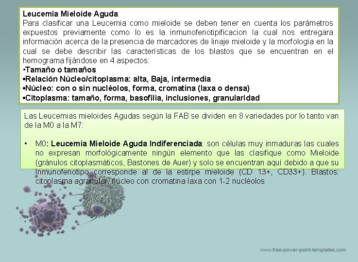 Leucemia Mieloide Aguda Para clasificar una Leucemia como mieloide se deben tener en cuenta