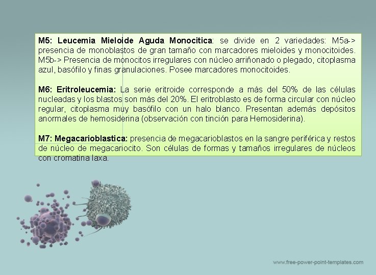 M 5: Leucemia Mieloide Aguda Monocitica: se divide en 2 variedades: M 5 a->