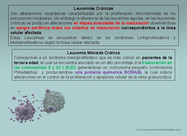Leucemias Crónicas Son alteraciones neoplásicas caracterizadas por la proliferación descontrolada de los precursores medulares,