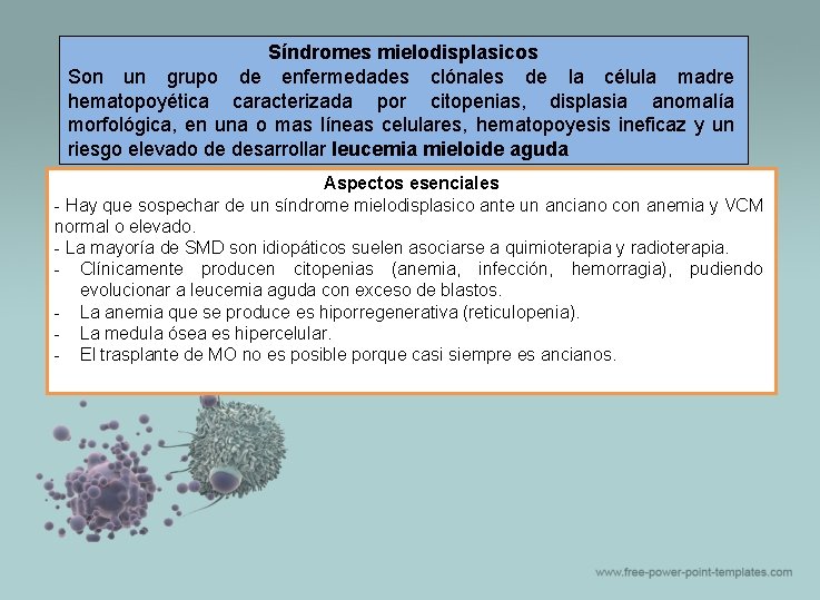 Síndromes mielodisplasicos Son un grupo de enfermedades clónales de la célula madre hematopoyética caracterizada