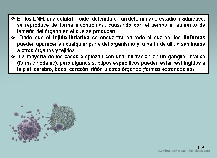 v En los LNH, una célula linfoide, detenida en un determinado estadio madurativo, se