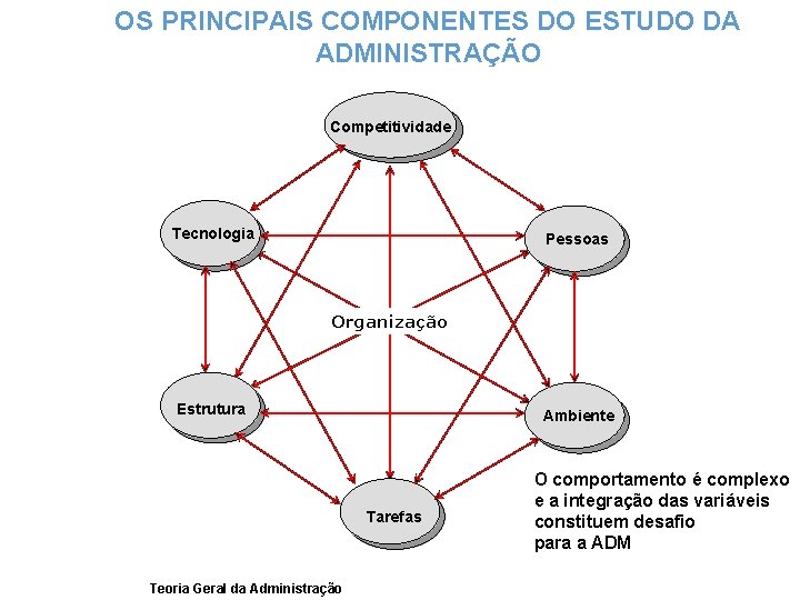 OS PRINCIPAIS COMPONENTES DO ESTUDO DA ADMINISTRAÇÃO Competitividade Tecnologia Pessoas Organização Estrutura Ambiente Tarefas