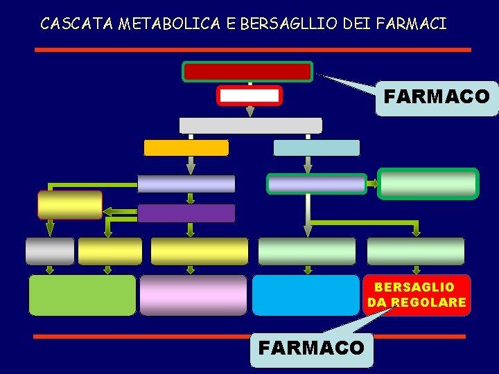 CASCATA METABOLICA E BERSAGLLIO DEI FARMACO BERSAGLIO DA REGOLARE FARMACO 