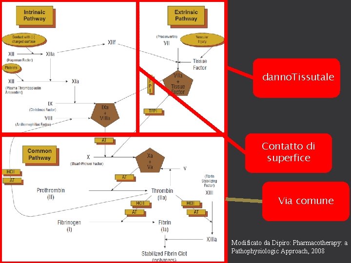 danno. Tissutale Contatto di superfice Via comune Modificato da Dipiro: Pharmacotherapy: a Pathophysiologic Approach,