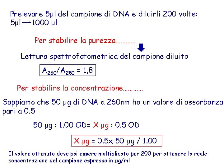 Prelevare 5μl del campione di DNA e diluirli 200 volte: 5μl 1000 μl Per