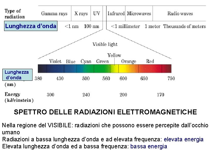 Lunghezza d’onda SPETTRO DELLE RADIAZIONI ELETTROMAGNETICHE Nella regione del VISIBILE: radiazioni che possono essere