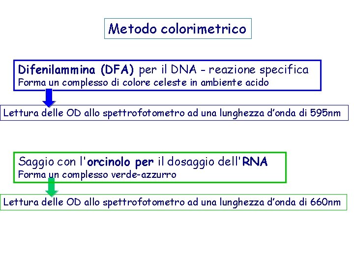 Metodo colorimetrico Difenilammina (DFA) per il DNA - reazione specifica Forma un complesso di