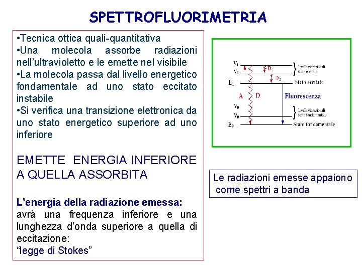 SPETTROFLUORIMETRIA • Tecnica ottica quali-quantitativa • Una molecola assorbe radiazioni nell’ultravioletto e le emette