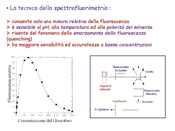  • La tecnica della spettrofluorimetria : Ø consente solo una misura relativa della