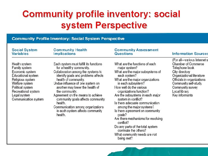Community profile inventory: social system Perspective 