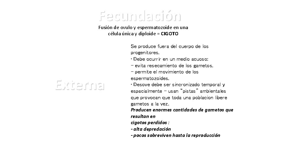 Fecundación Fusión de ovulo y espermatozoide en una célula única y diploide = CIGOTO