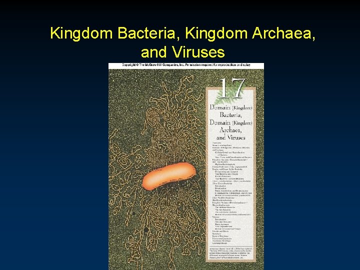 Kingdom Bacteria, Kingdom Archaea, and Viruses 