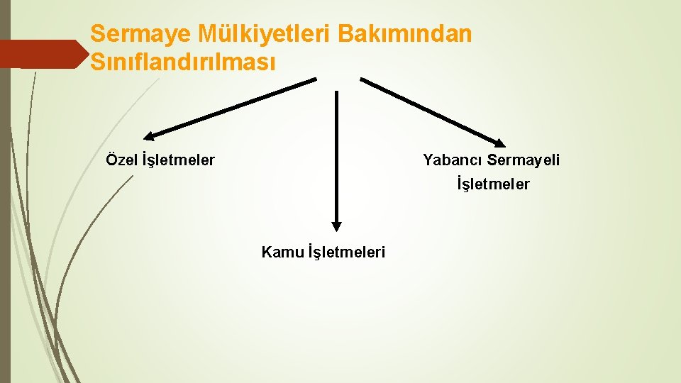 Sermaye Mülkiyetleri Bakımından Sınıflandırılması Yabancı Sermayeli Özel İşletmeler Kamu İşletmeleri 