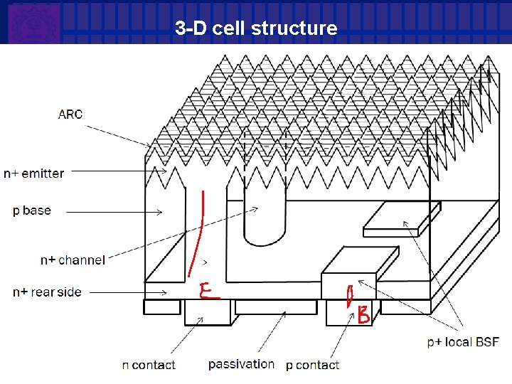 3 -D cell structure 3 -D cell structure