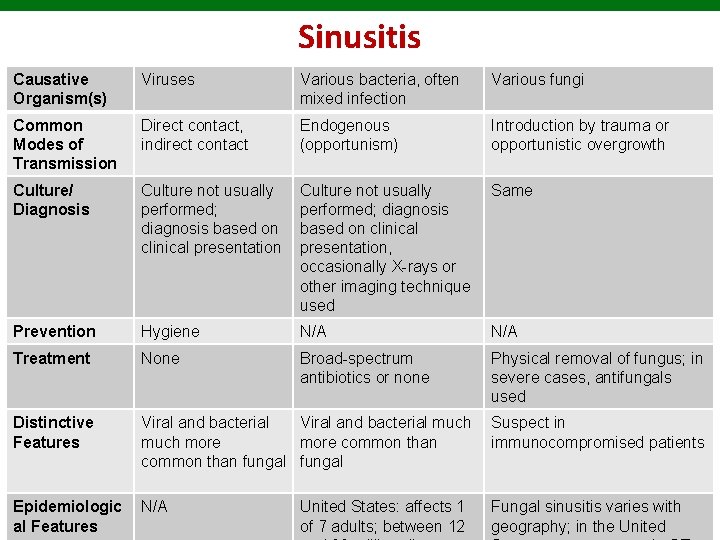 Sinusitis Causative Organism(s) Viruses Various bacteria, often mixed infection Various fungi Common Modes of