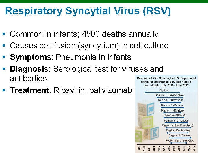 Respiratory Syncytial Virus (RSV) § § Common in infants; 4500 deaths annually Causes cell