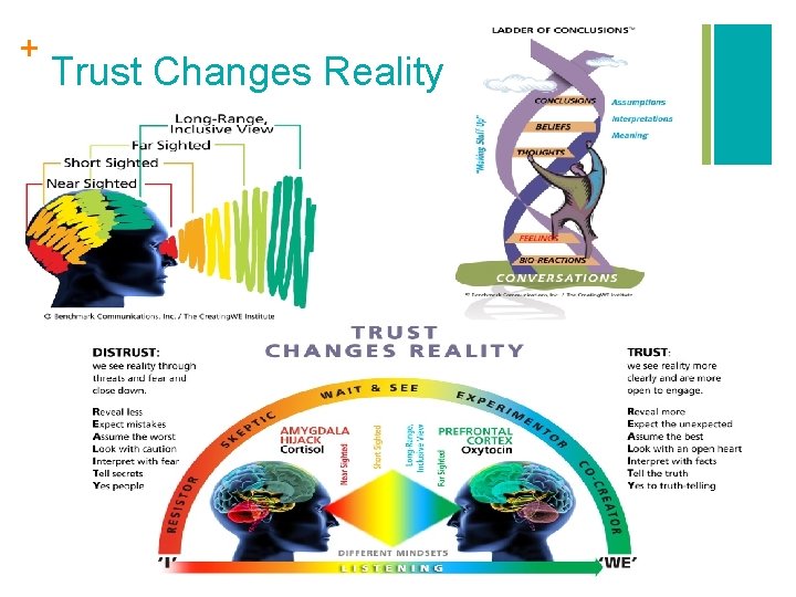 + Trust Changes Reality 