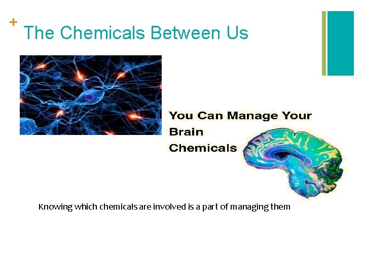 + The Chemicals Between Us Knowing which chemicals are involved is a part of