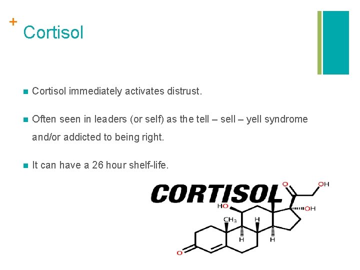 + Cortisol n Cortisol immediately activates distrust. n Often seen in leaders (or self)