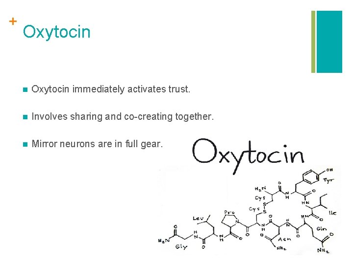 + Oxytocin n Oxytocin immediately activates trust. n Involves sharing and co-creating together. n