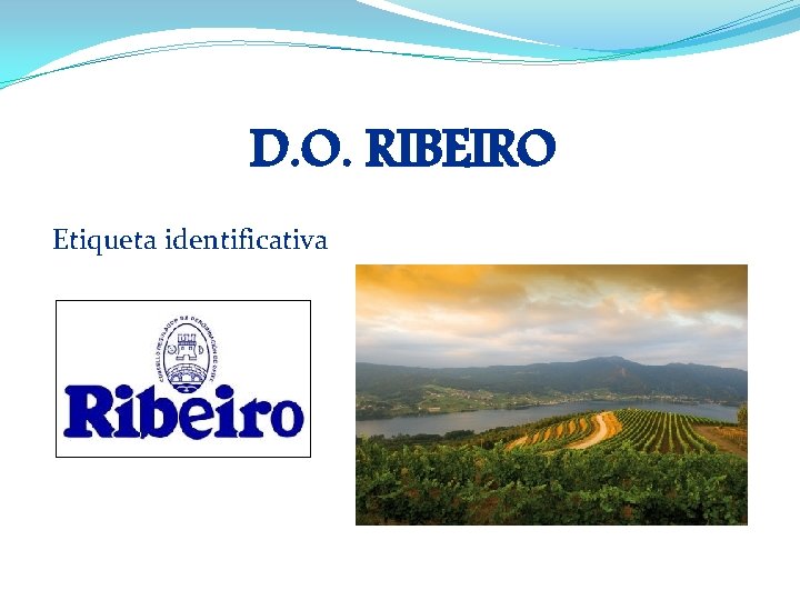 D. O. RIBEIRO Etiqueta identificativa 