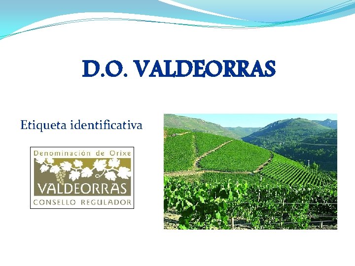 D. O. VALDEORRAS Etiqueta identificativa 