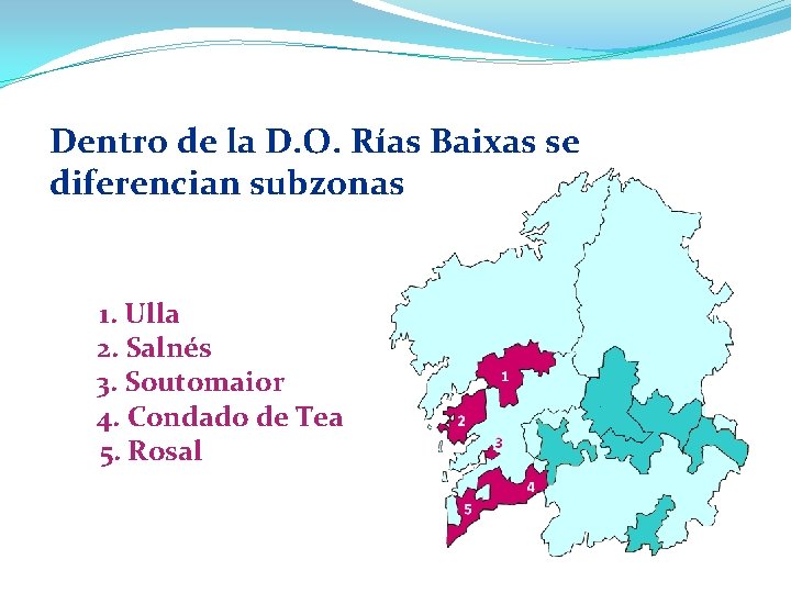 Dentro de la D. O. Rías Baixas se diferencian subzonas 1. Ulla 2. Salnés