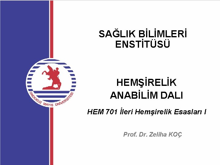 SAĞLIK BİLİMLERİ ENSTİTÜSÜ HEMŞİRELİK ANABİLİM DALI HEM 701 İleri Hemşirelik Esasları I Prof. Dr.