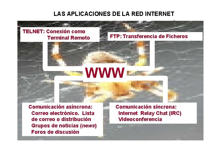 LAS APLICACIONES DE LA RED INTERNET TELNET: Conexión como Remoto Terminal FTP: Transferencia de