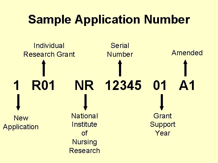 Sample Application Number Individual Research Grant 1 R 01 New Application Serial Number Amended