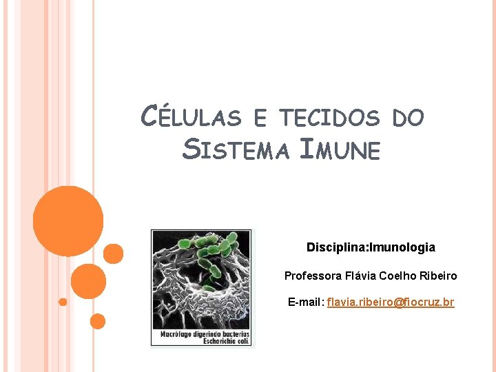 CÉLULAS E TECIDOS SISTEMA IMUNE DO Disciplina: Imunologia Professora Flávia Coelho Ribeiro E-mail: flavia.