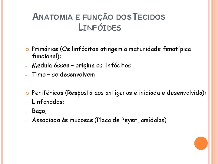 ANATOMIA E FUNÇÃO DOS TECIDOS LINFÓIDES - - Primários (Os linfócitos atingem a maturidade