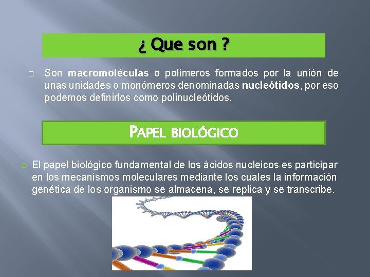 ¿ Que son ? � Son macromoléculas o polímeros formados por la unión de