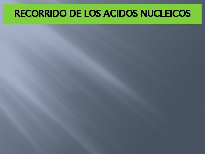 RECORRIDO DE LOS ACIDOS NUCLEICOS 