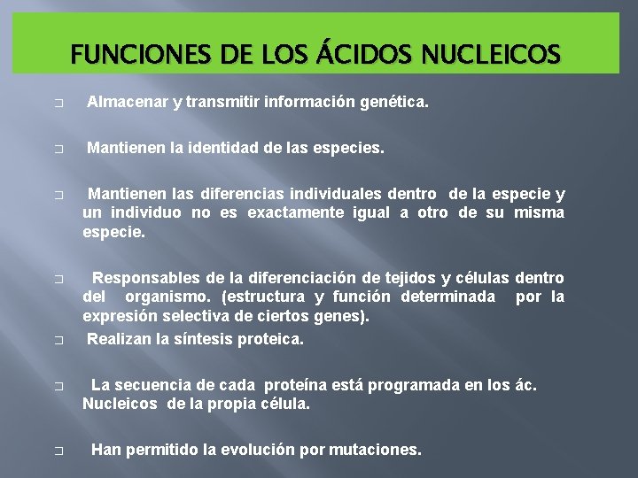 FUNCIONES DE LOS ÁCIDOS NUCLEICOS � Almacenar y transmitir información genética. � Mantienen la