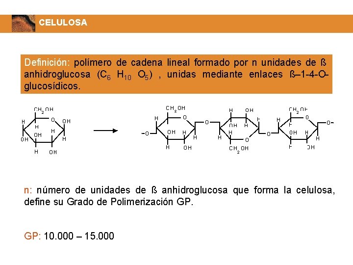 CELULOSA Definición: polímero de cadena lineal formado por n unidades de ß anhidroglucosa (C