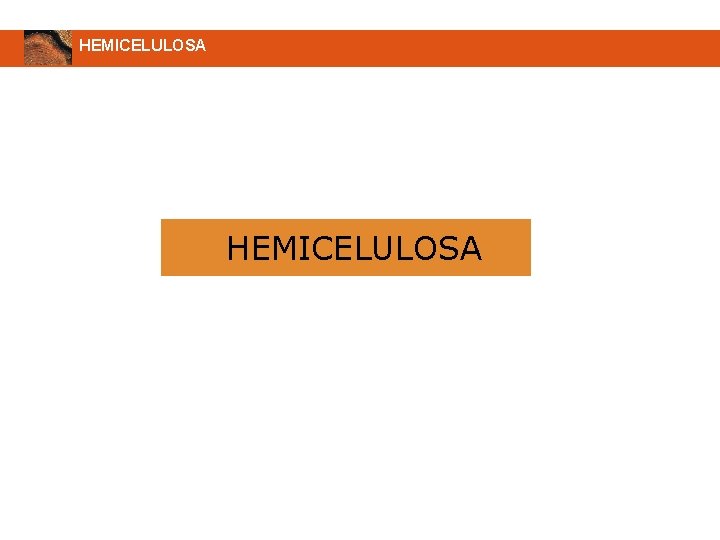 HEMICELULOSA 