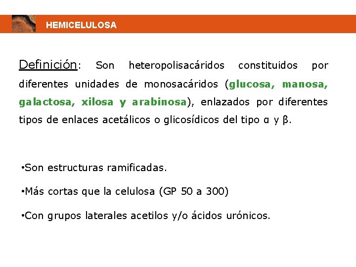 HEMICELULOSA Definición: Son heteropolisacáridos constituidos por diferentes unidades de monosacáridos (glucosa, manosa, galactosa, xilosa