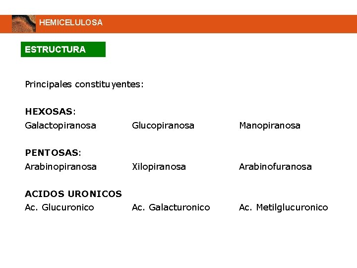 HEMICELULOSA ESTRUCTURA Principales constituyentes: HEXOSAS: Galactopiranosa Glucopiranosa Manopiranosa Xilopiranosa Arabinofuranosa Ac. Galacturonico Ac. Metilglucuronico