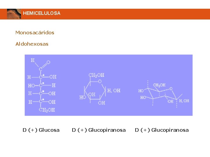 HEMICELULOSA Monosacáridos Aldohexosas D (+) Glucosa D (+) Glucopiranosa 